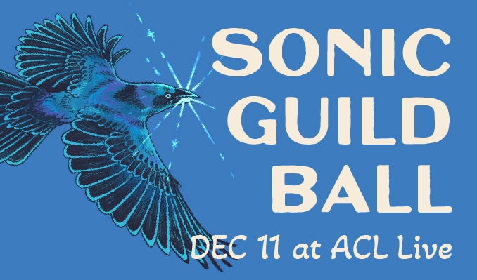 More Info for Sonic Guild Ball