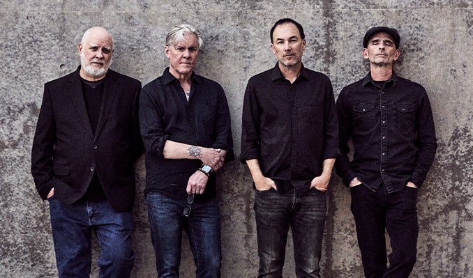 More Info for Toadies